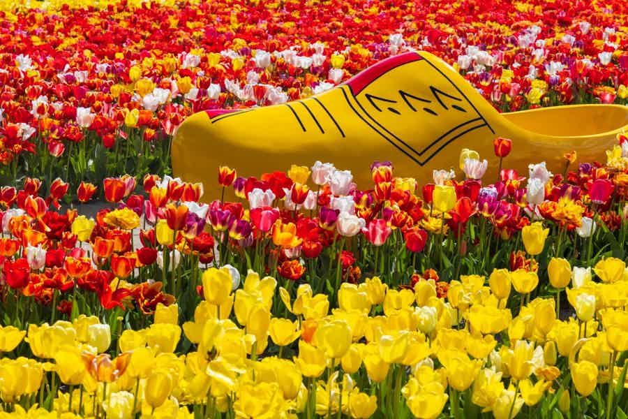 Amsterdam: Keukenhof Entry Ticket & Shuttle Bus - Flexible Return - photo 2