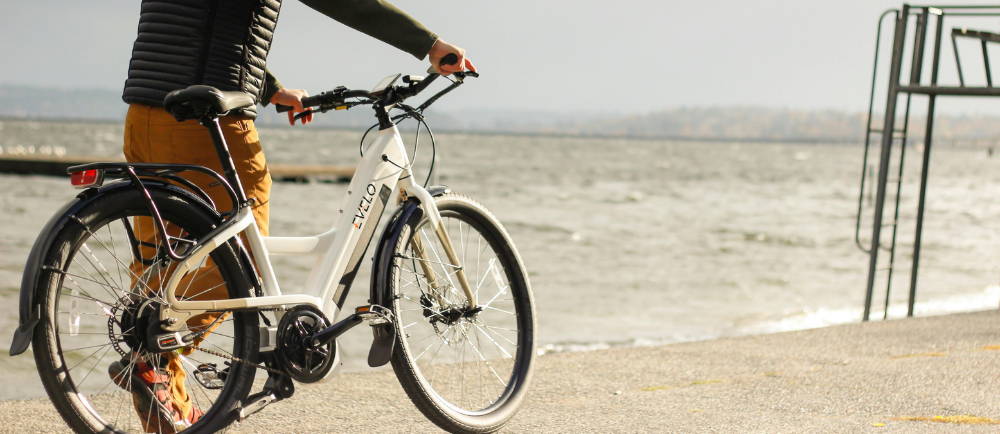 Urban Arrow cargo electric bike motor close up