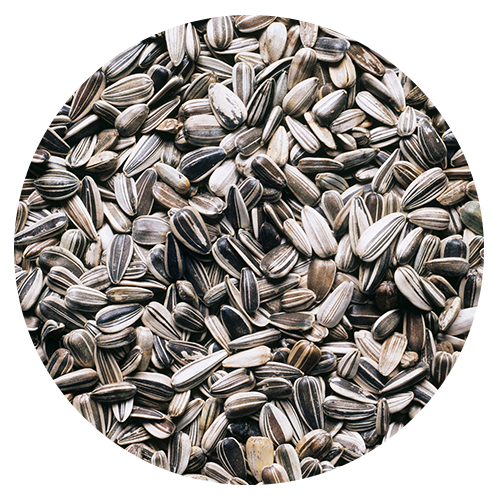 A lot of sunflower seeds: A Natural Source of Biotin found in the best hair, skin and nails vitamins