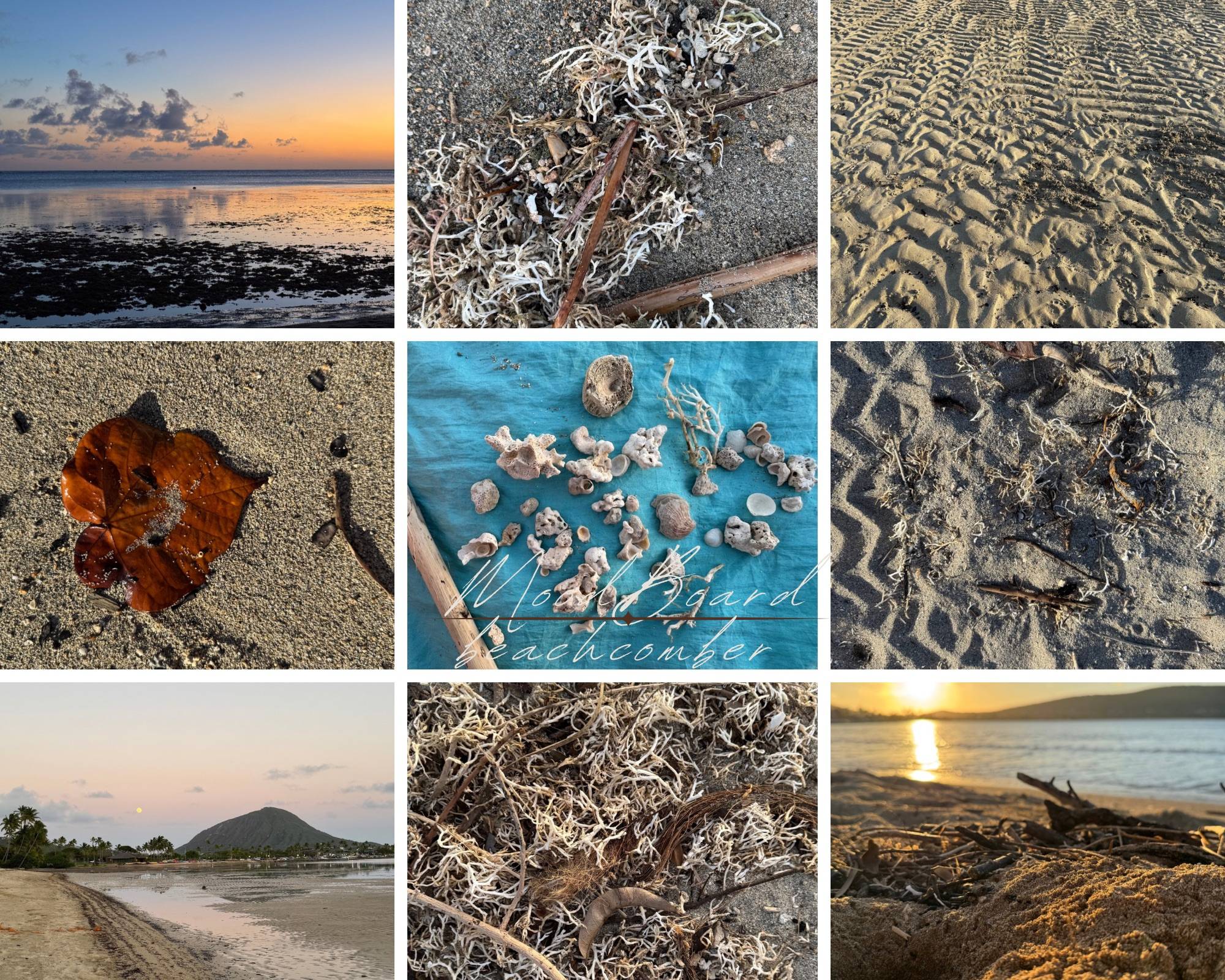 nature's graffiti inspiration board by traci bautista SWATCH STUDIO #tracibautistaCOLOR
