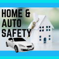 defense divas home and auto safety collection