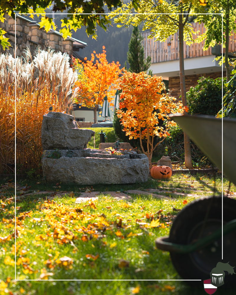 🍂🎃 Goldene Blätter, warme Sonnenstrahlen und ein Hauch Halloween.

Der Herbst zeigt sich bei uns von seiner schönsten Seite. 🍁✨

Bis bald! Hier im @zum.ritter 💚🏡

Deine Gastgeberfamilien Fuchs und Sonnweber
mit dem "Ritter-Team"
•⠀
•⠀
•⠀
•
#hotels #h