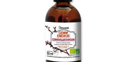 Gemm' Energie - Cornouiller Sanguin