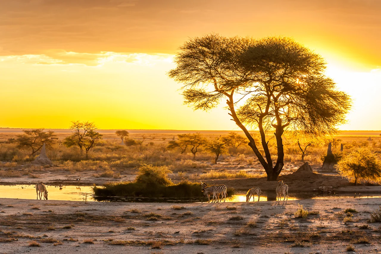 9 Day African Wonders Safari Experience