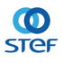 Logo de STEF-TFE