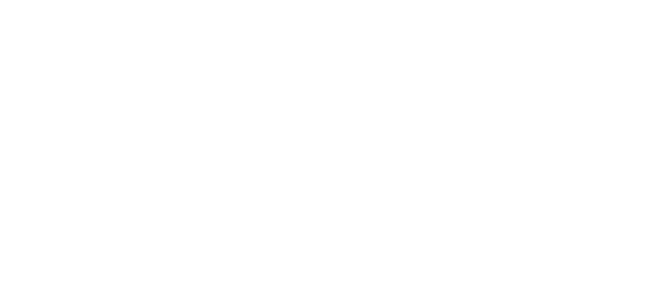 Paola Andrea Serna Logo