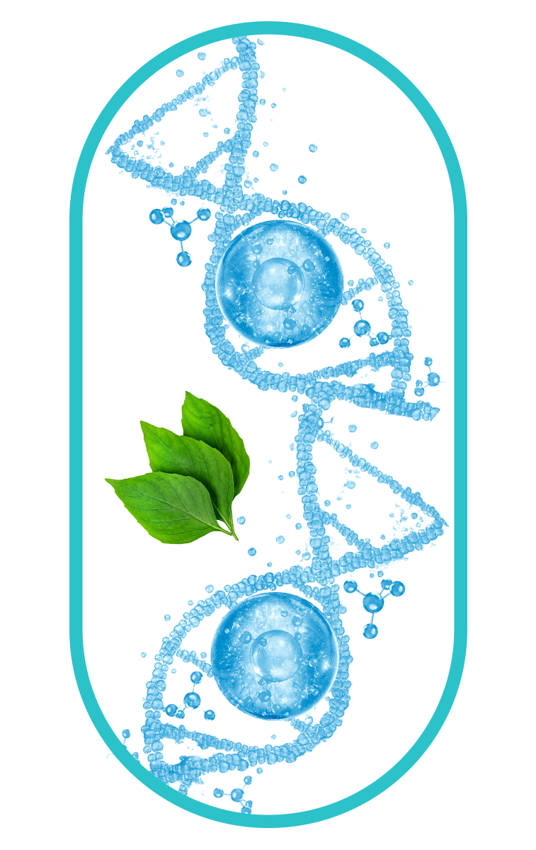 calcium as an ingredient of nano singapore's K2 Vitamin with D3 for Bone and Heart Health Supplement