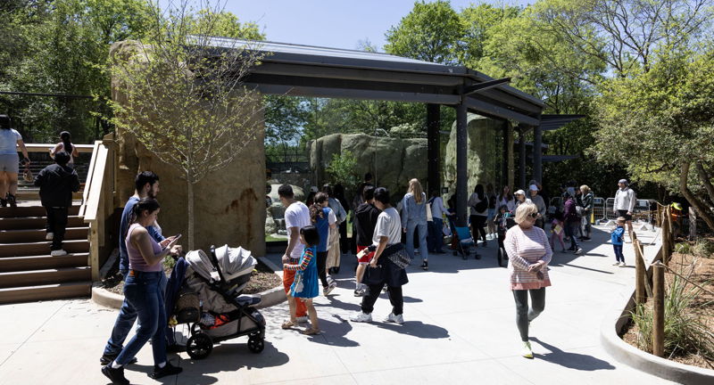 World Block Party at Zoo Atlanta