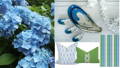 blue hydrangea with green leaves. blue accessories with blue and green pillows and rug.