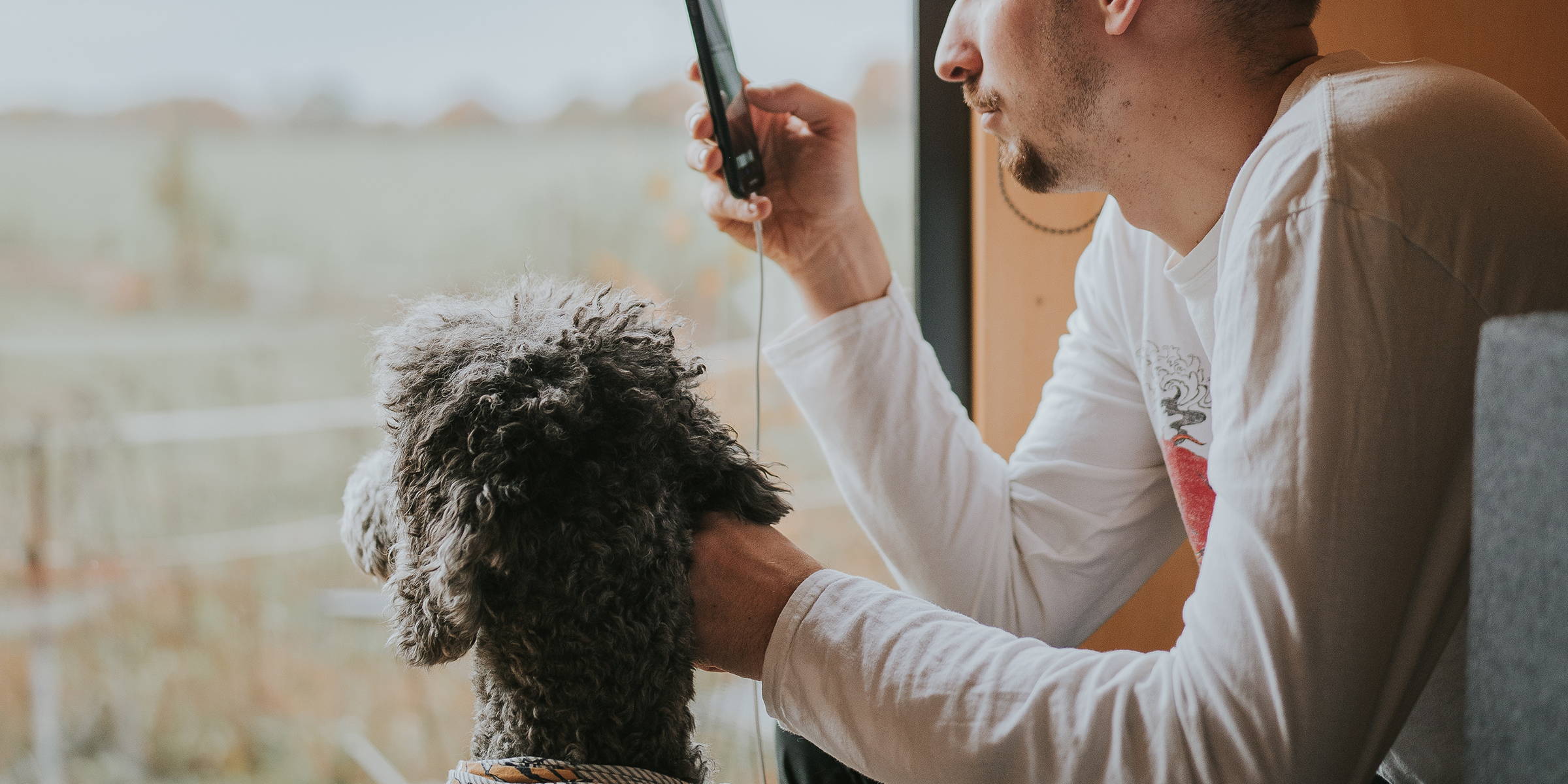 Deux chiens mangent des croquettes Ofrieda
