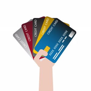 Honeymoon Fund (credit card, 2.5% fee)