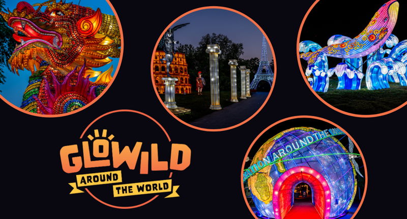 GloWild: Around the World