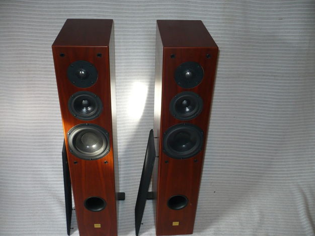 Aerial Acoustics Model 6 in cherry Cheap!