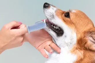 Finger - Zahnbürste für Hunde