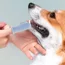 Finger - Zahnbürste für Hunde