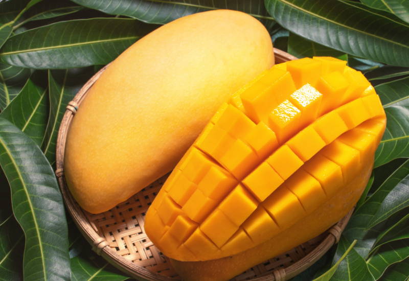 マンゴー カロリー