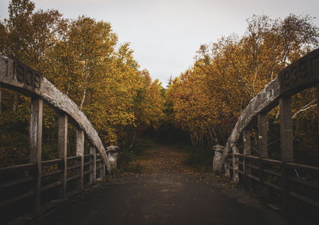 Newfoundland Seasons