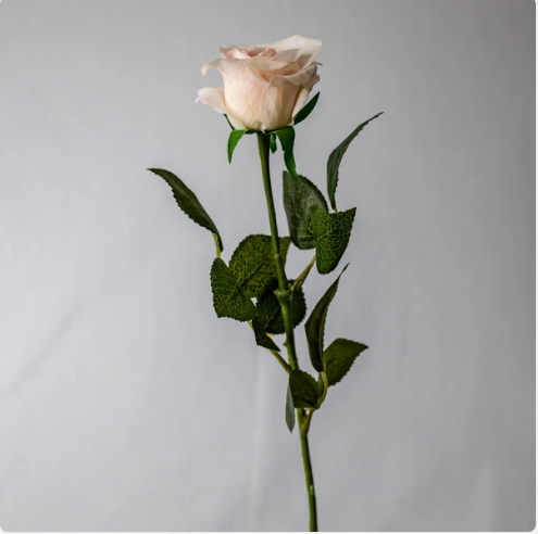 Light Pink Real Touch Half Bloom Rose - Realistic Artificial Flowers - Image 3