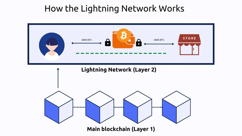 Growth of the Lightning Network
