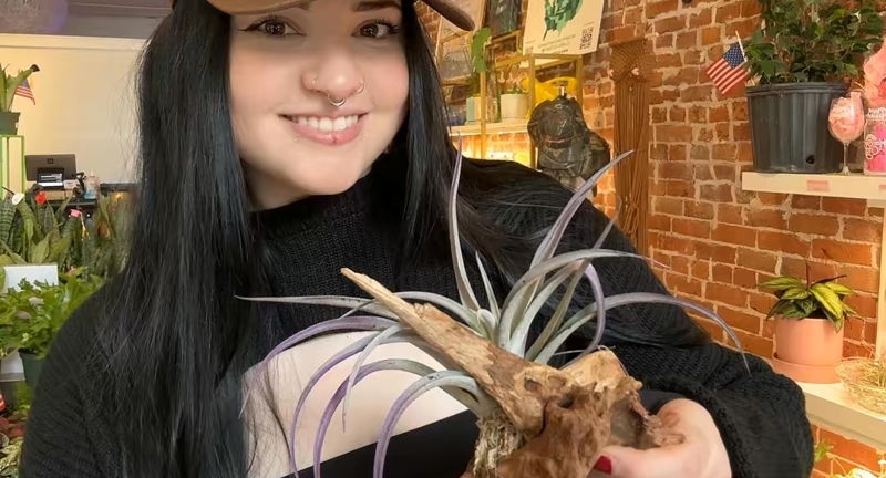 Air Plant Craft Night at rOOTS KC River Market