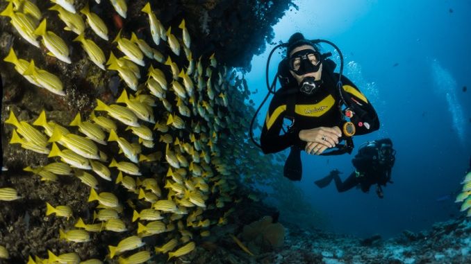 Diving on a Maldives tour