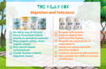 Digestion and Tolerance | The Milky Box