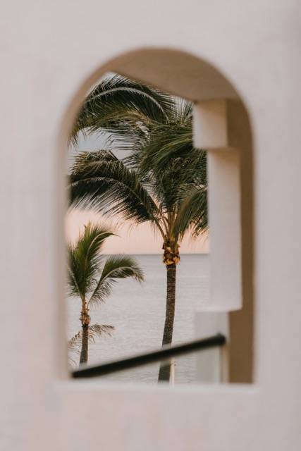 A small beach window looks out at the palm trees and ocean.