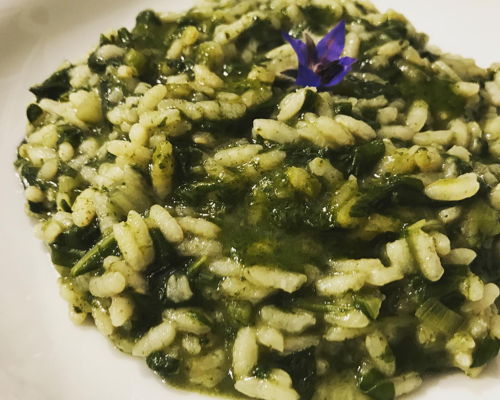 Food experiences Loano: Sit at the table in your home restaurant.