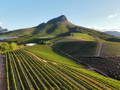 Weintourismus Südafrika
