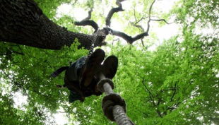 kletterwald freischütz kletterseil