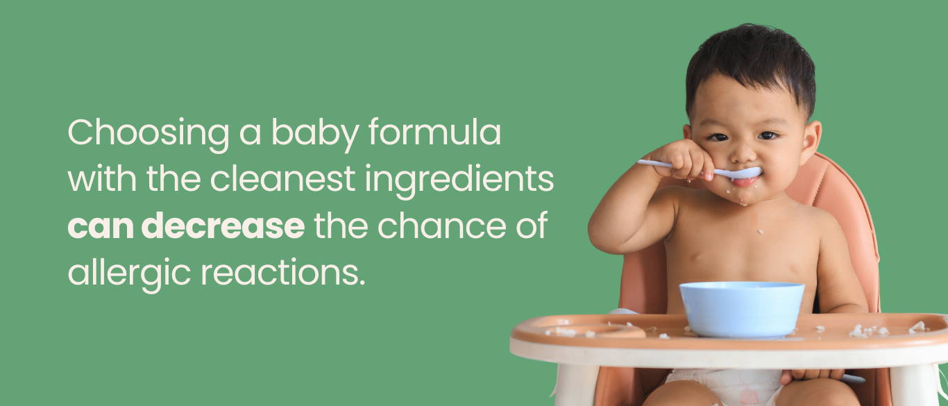 Baby Eating | My Organic Company