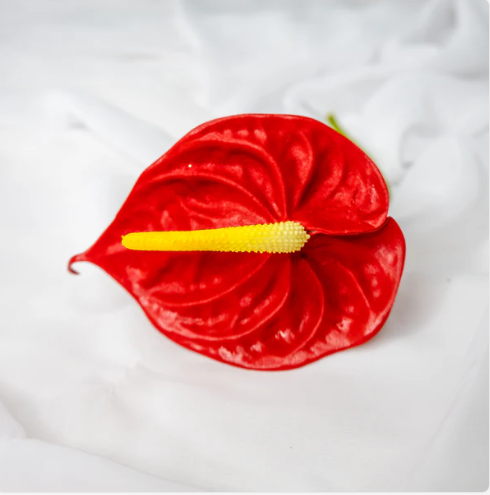 Anthurium Small Red - Realistic Artificial Flowers - Image 3