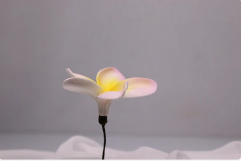 Blushing Sunrise Frangipani Real Touch (6 Pack) - Realistic Artificial Flowers - Image 3