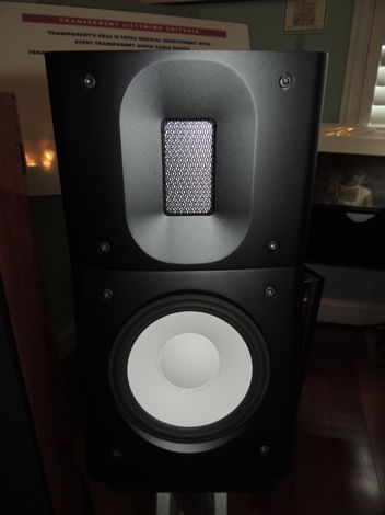 Raidho Acoustics APS C1.1 Standmounted Speakers in Exce...