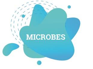 "MICROBES" written in white with light blue shapes in background