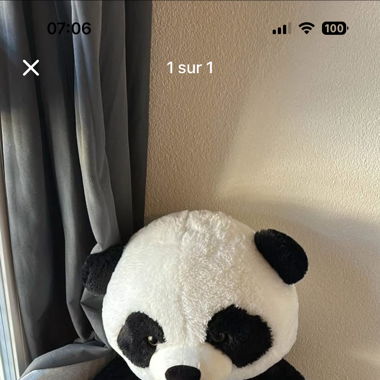 Peluche 
