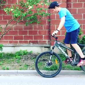 Carrera vengeance online wheelie bike