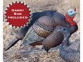 Dakota Decoys X-treme Turkey Breeder Pack