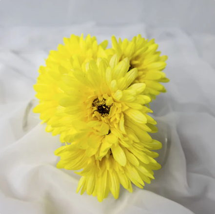 Yellow Real Touch Gerbera - Realistic Artificial Flowers - Image 3