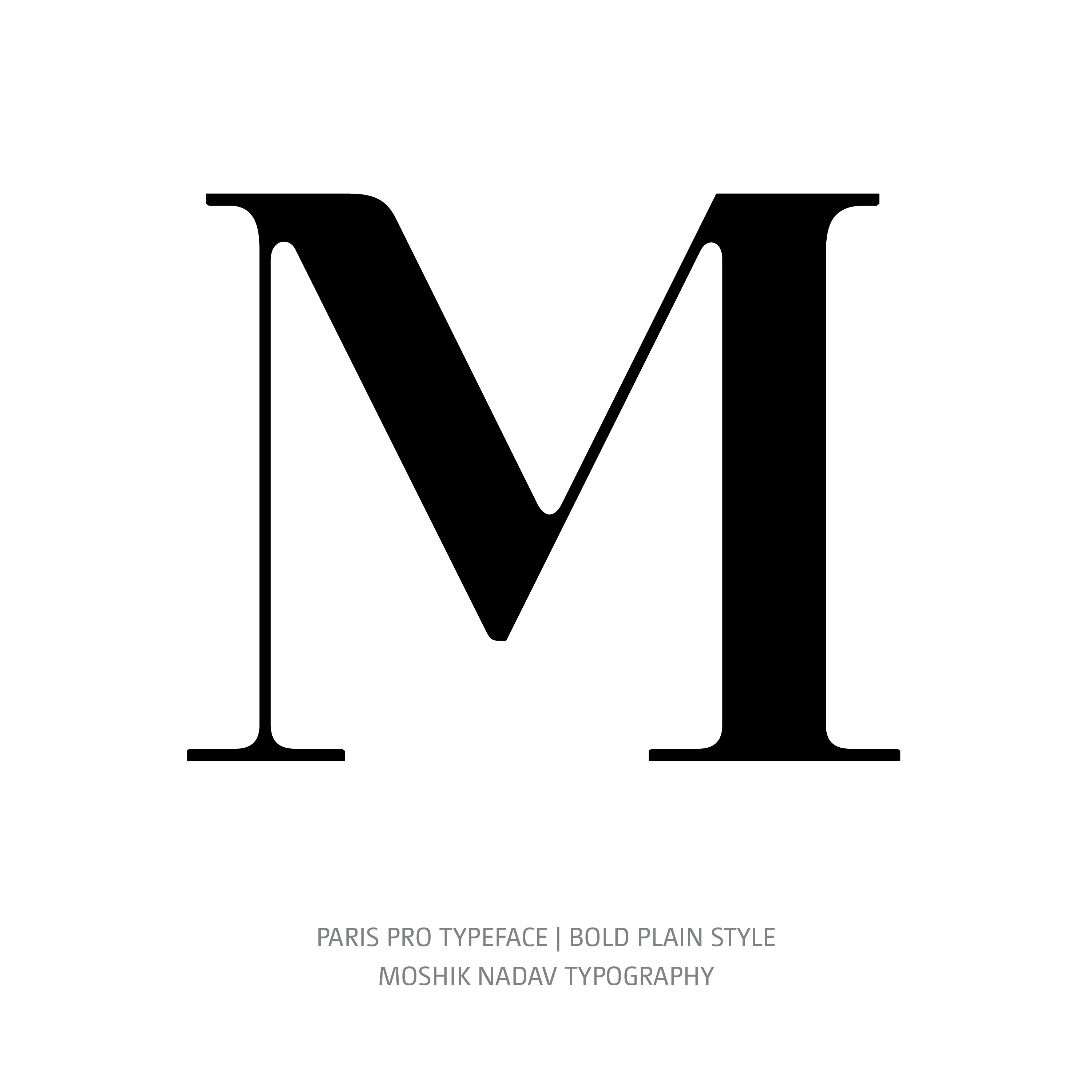 Paris Pro Typeface Regular Bold M