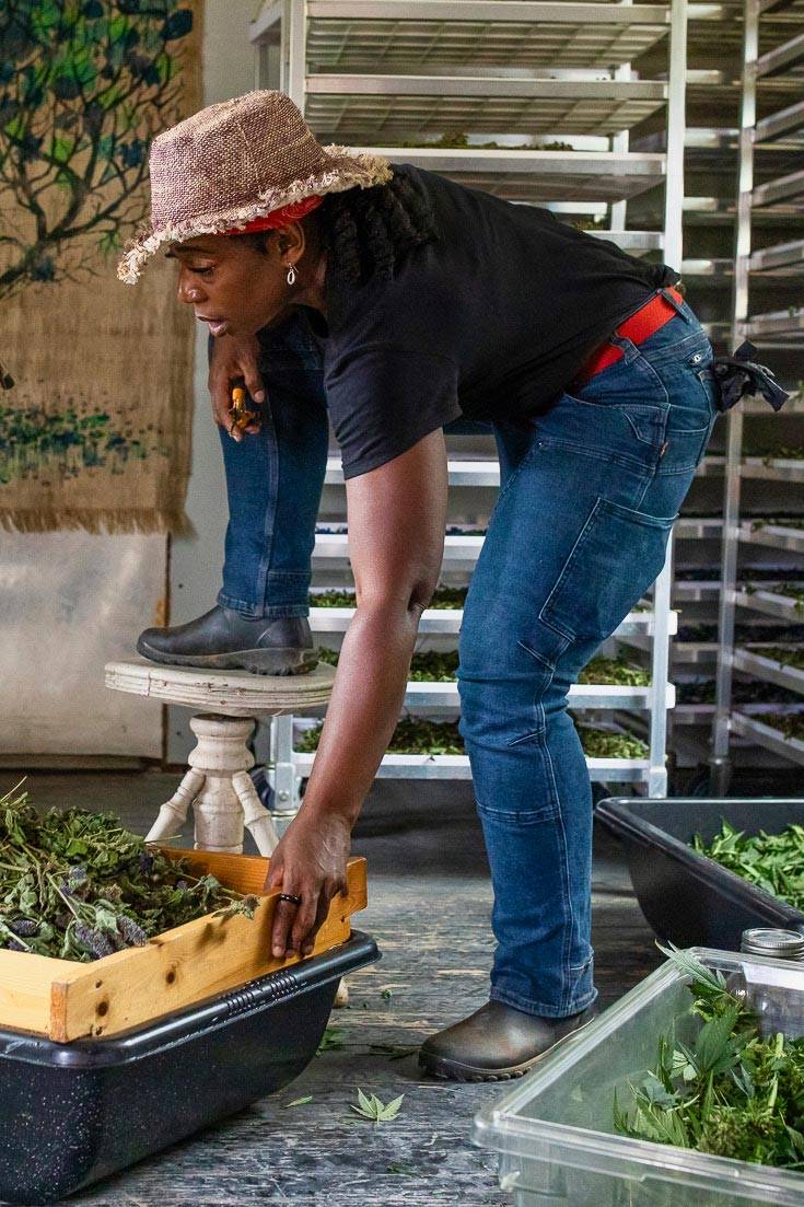 Welcome to Farmer Cee at Dovetail
