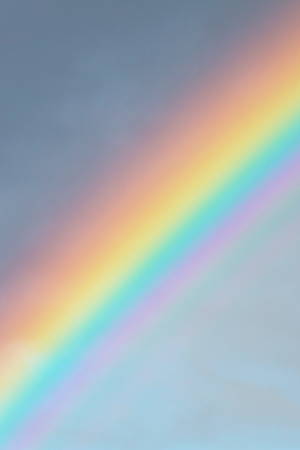 Rainbow, Colorfulness, Sky, Atmosphere, Cloud, Atmospheric phenomenon, Material property, Horizon, Electric blue, Calm