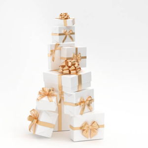 Our Newlywed Fund