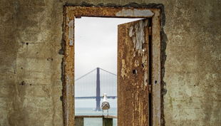 final escape alcatraz aussicht