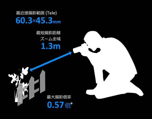 迫力のテレマクロ撮影