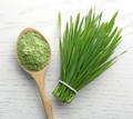 a wooden spoon full of green wheat grass powder next to a bundle of fresh wheat grass