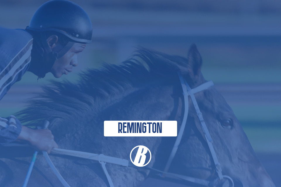 2021 Remington Springboard Mile Picks