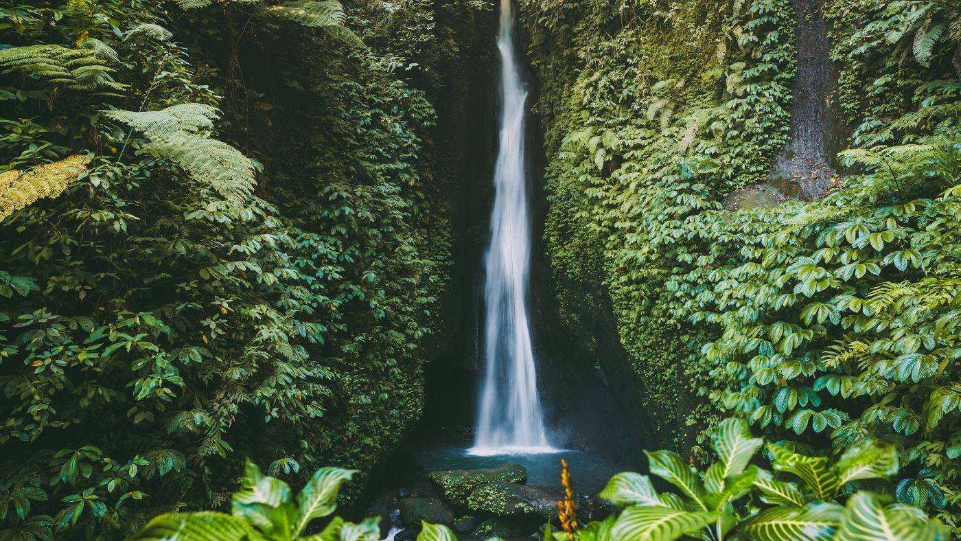 Bambina Bali Travel Guide Waterfall 