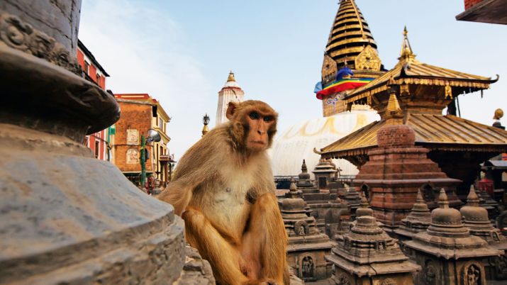 Kathmandu, Bhaktapur, and Patan each have a Durbar Square that is a UNESCO World Heritage Site