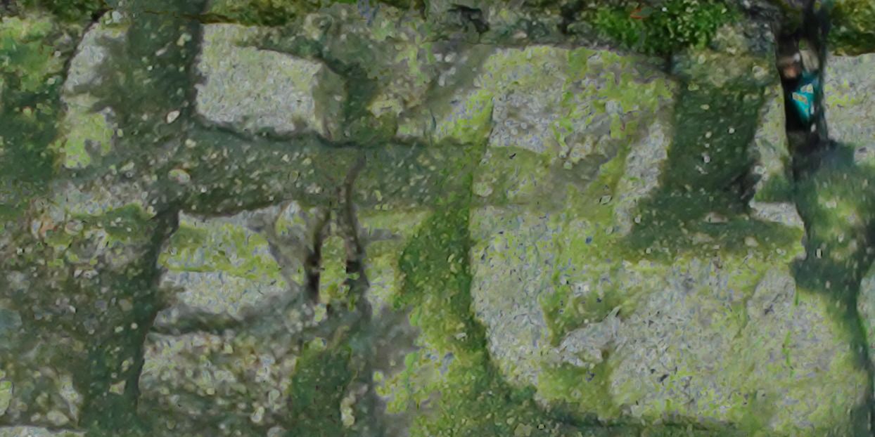 list image